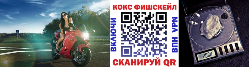 COCAIN Fish Scale  Ишим 