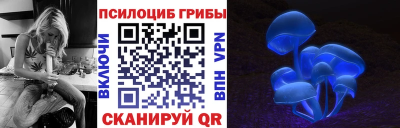 купить наркотик  Ишим  Псилоцибиновые грибы GOLDEN TEACHER 