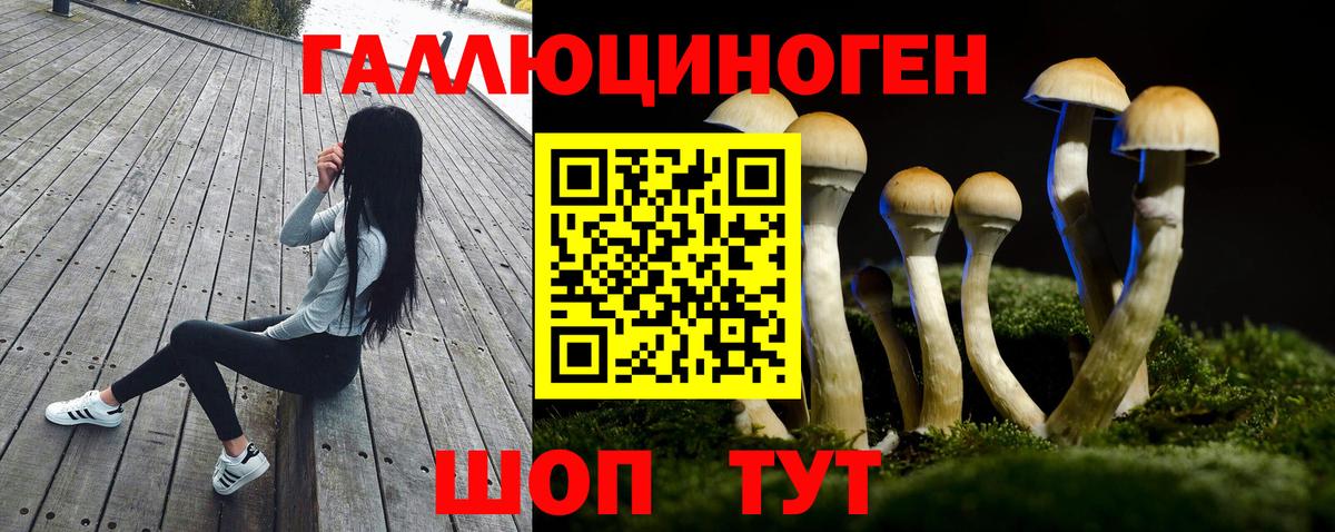 Псилоцибиновые грибы MAGIC MUSHROOMS Ишим