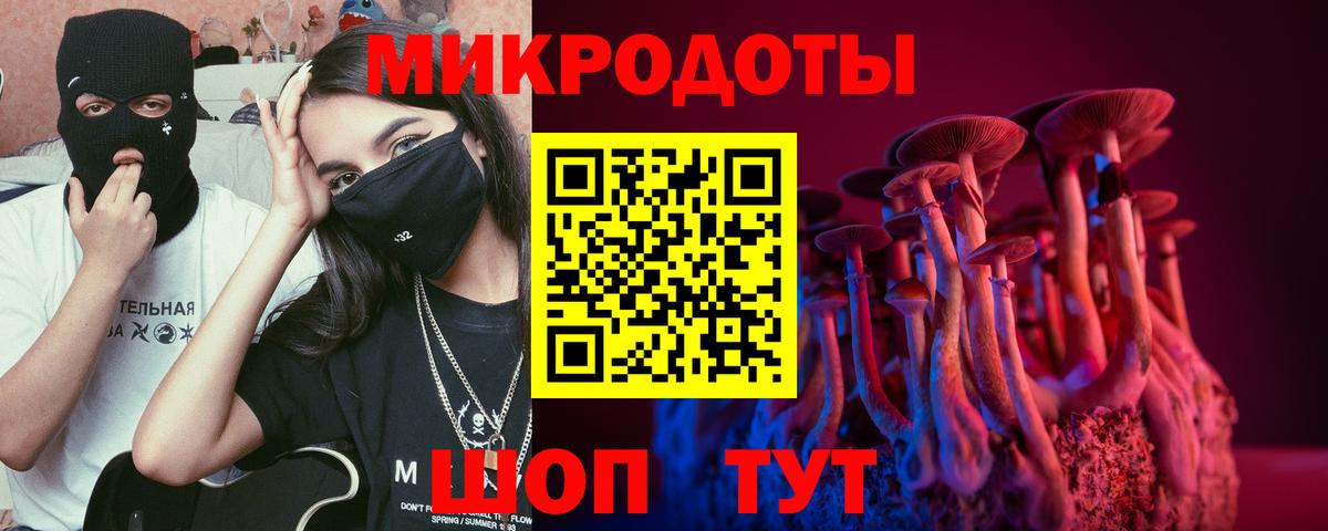 Ишим  Псилоцибиновые грибы ЛСД  Вход с VPN 