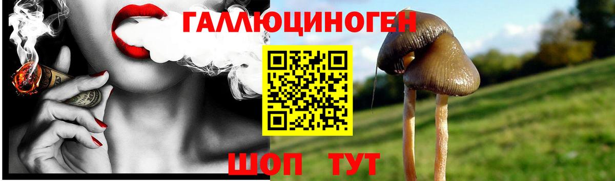 Псилоцибиновые грибы Magic Shrooms Ишим