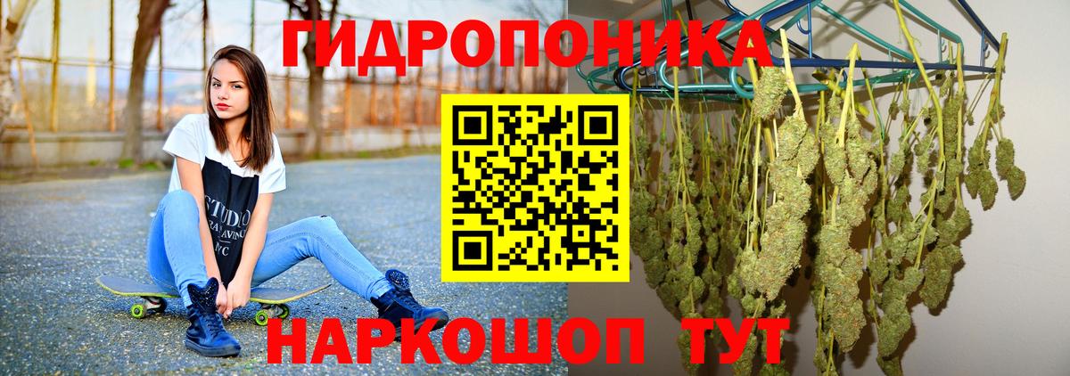 Каннабис план  Шишки марихуана Ganja  Ишим  Бошки Шишки SATIVA & INDICA  Вход с VPN 
